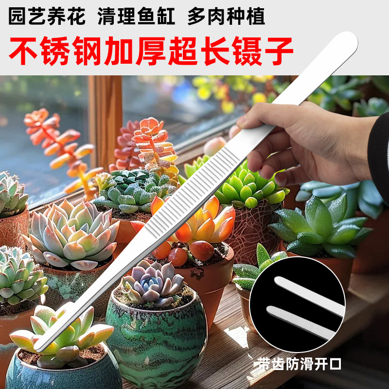 镊子园艺不锈钢多肉专用镊子夹子鱼缸喂鱼取物加长夹子镊子下水道,五金/工具,其它夹持类工具,淘宝优惠券,粉丝福利购,淘宝优惠卷