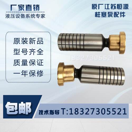 原厂江苏恒源柱塞泵配件25/63/40/80/100/160YCY14-1Q1 14-1B/D