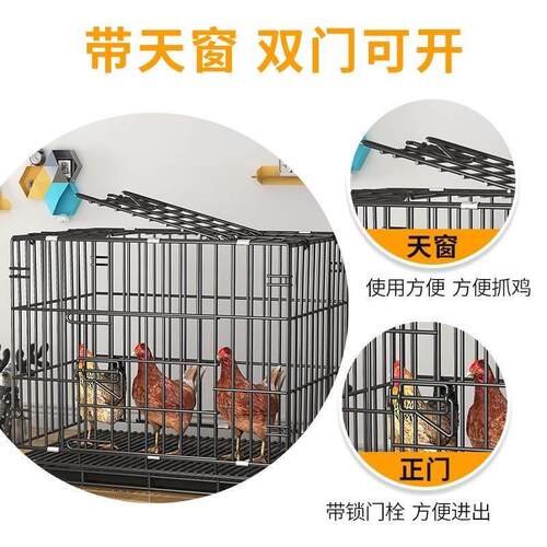 鸡笼子家用室外卢丁鸡阳台无臭养鸡笼家用养殖笼大号特大鸡笼户外
