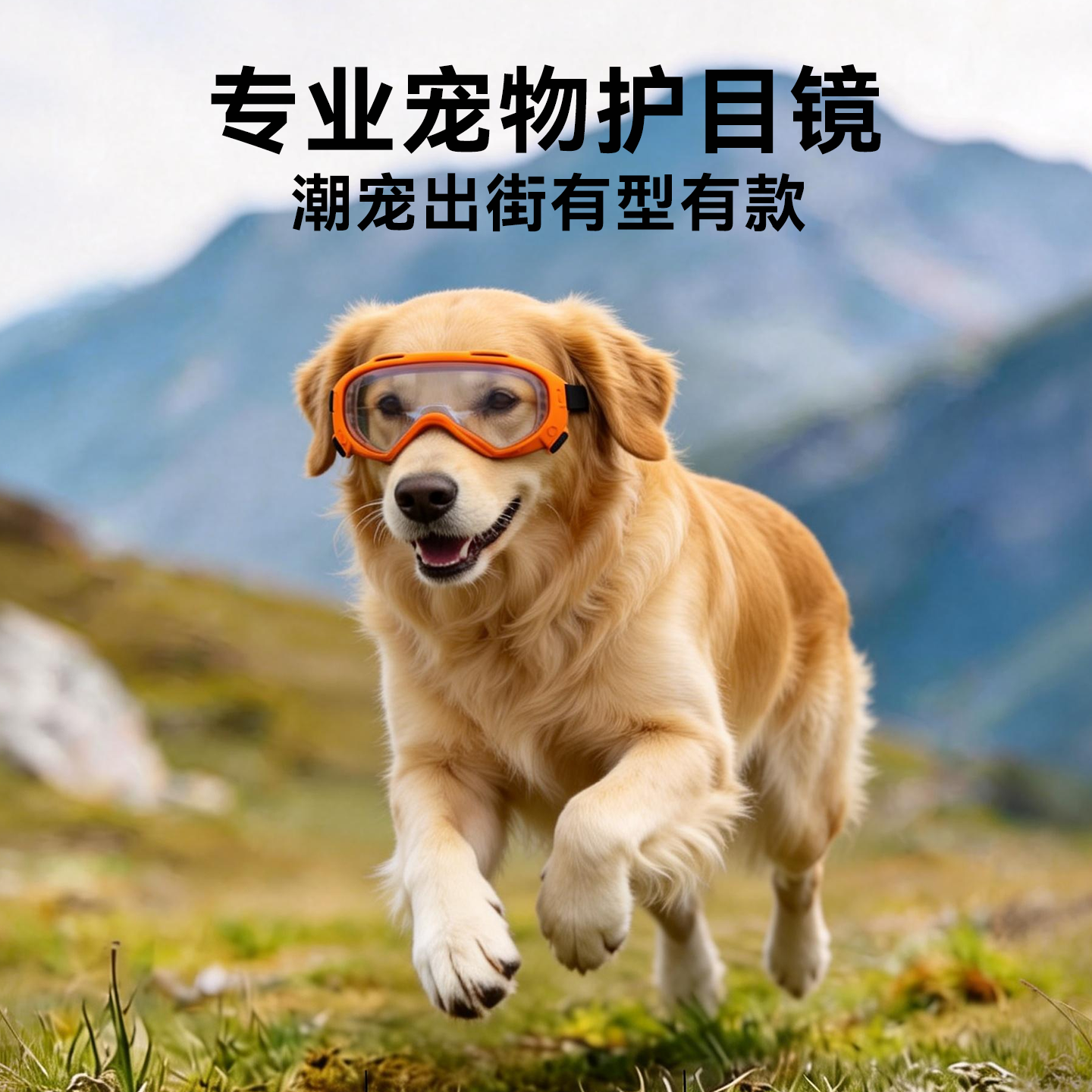 狗狗护目镜金毛边牧小中大型犬户外防风沙紫外线出行墨镜宠物眼镜