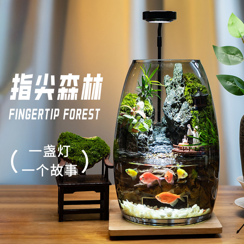 苔藓观赏客厅摆件养鱼流水真绿植