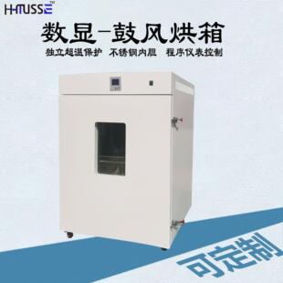 640升 电热恒温箱 电热鼓风干燥箱DHG 工业烤箱热风循环烘箱