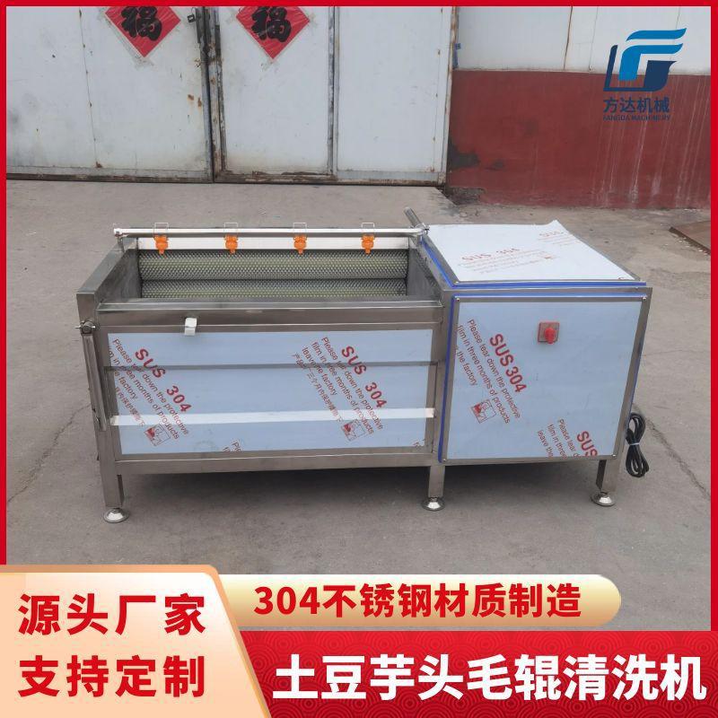 商用毛辊清洗机 洋芋生姜土豆莲藕清洗机 不锈钢贝壳类洗泥机