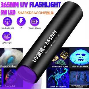 365紫外线UV手电验钞防伪美甲玉石鉴别伍德氏猫藓灯USB充电手电筒
