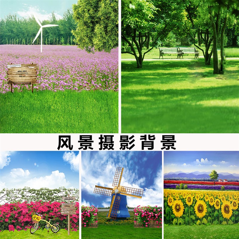 影楼拍照风景背景布影棚儿童宝宝拍照背景纸背景纸写真麦田背景