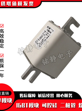 170M5986 170M5987 170M5988 170M5989巴斯曼保险丝170M5990现货