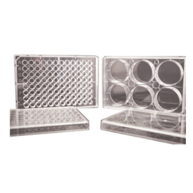 Edge细胞培养板 Low EVAP EDGE Plate