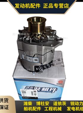 发电机1000884944潍柴WP10  WP12发动机 28V  55A原厂带防伪