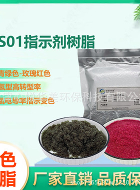 强酸性阳离子变色树脂BSH01青色变粉红色电厂氢电导率测定