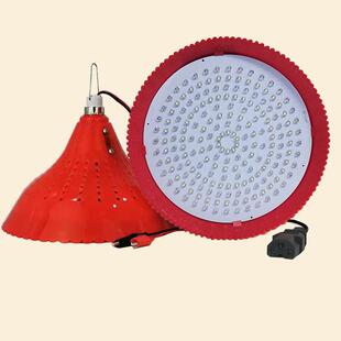 夜市摆摊水果灯专用灯卤菜灯熟食暖光户外电瓶灯即插式夜摊照明灯