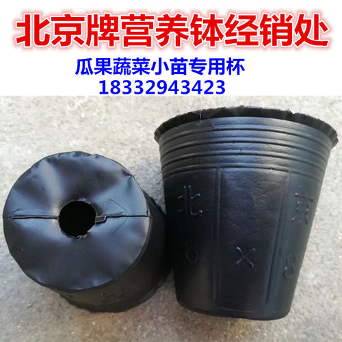 营养钵育苗钵塑料营养杯装土神器种植育苗杯加厚育苗袋一次性花盆