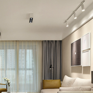 明装射灯吸顶客厅无主灯照明五头六头格栅灯斗胆灯家用长方形筒灯