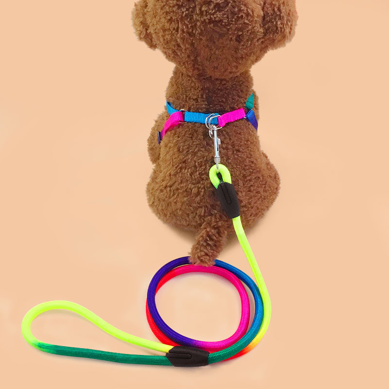 狗狗牵引绳七彩可爱泰迪狗链子小型犬胸背带博美遛狗绳子宠物用品