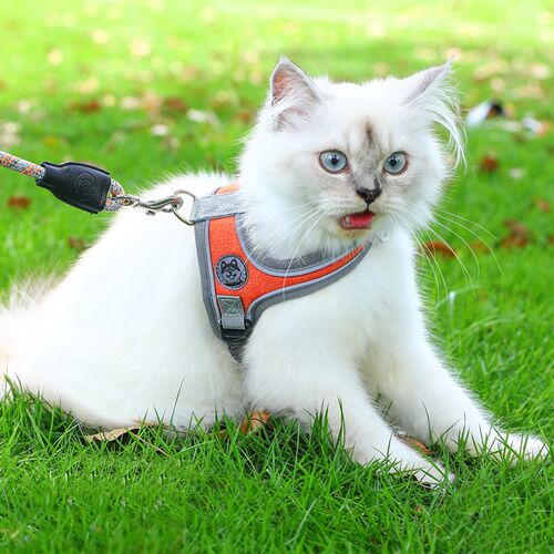 猫咪牵引绳防挣脱背心式透气遛猫绳英短外出防勒猫链子宠物胸背带