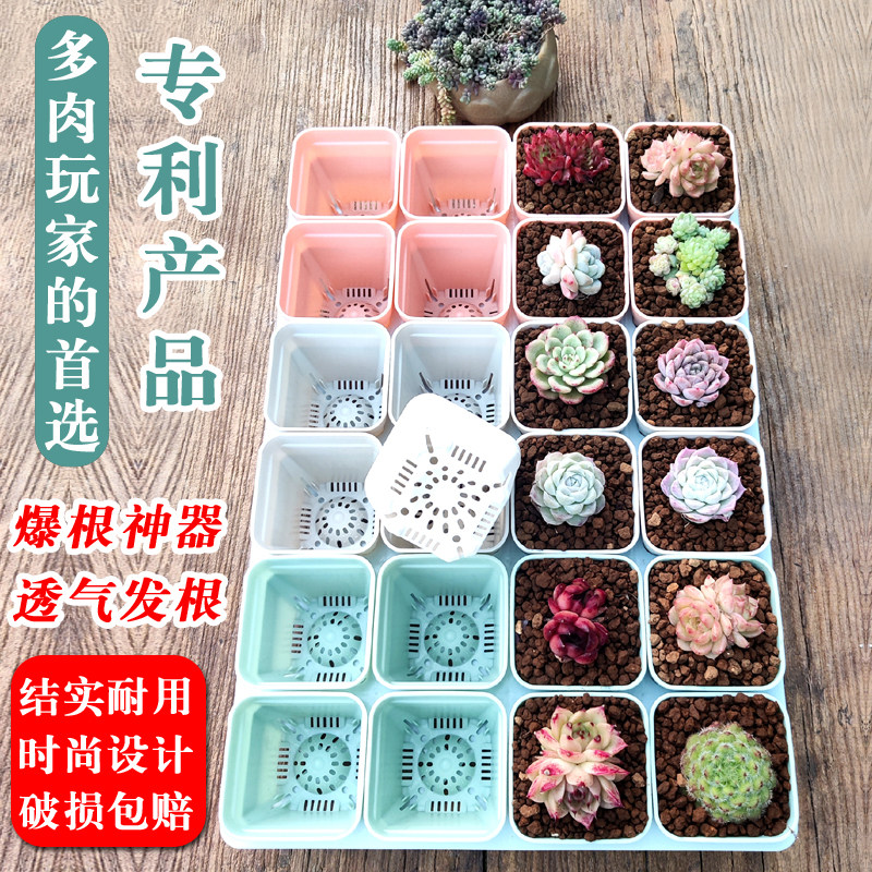 50个7x7cm加厚小白方多肉花盆特厚塑料方形植物叶插育苗盆黑方盆