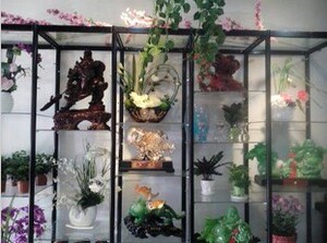 精品珠宝展示柜/香港展柜/动漫模型货架/梅州茶叶展柜/鲜花玻