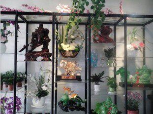 精品珠宝展示柜/香港展柜/动漫模型货架/梅州茶叶展柜/鲜花玻