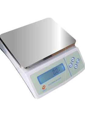 上海佑科YP6000/YP10000/YP15000/YP20000实验室科研天平精密称量