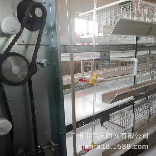 广州工厂直销H型框架层叠式蛋鸡笼一体化饲养蛋鸡铁丝网笼具