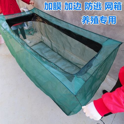 定做养殖防逃网箱螃蟹甲鱼龙虾大C鱼成鱼泥鳅黄鳝鱼苗育苗网箱尼