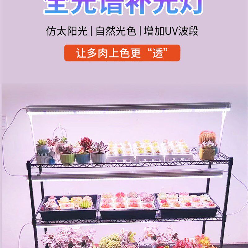 正阳多肉补光灯全光谱上色白光大功率室内育苗植物V防徒仿太阳生
