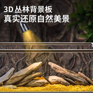 桌面R造景水草生态鱼 南美风溪流缸家用客厅小型超白玻璃鱼缸新款