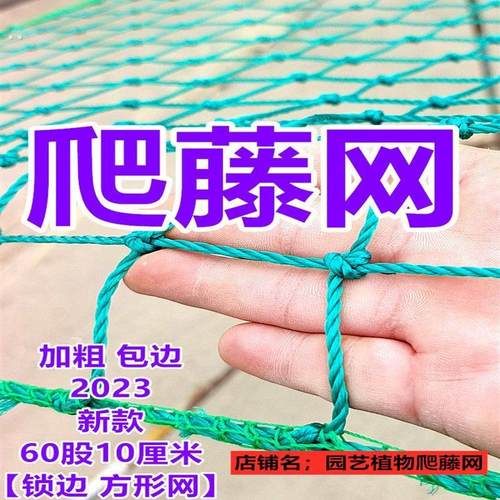 植物种植物攀爬网家庭园艺搭架网黄瓜葡萄丝瓜百香果爬藤网农用网