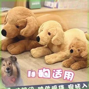 专用小公狗交配玩具狗狗发情期母狗性伴侣宠物小狗泄火发情