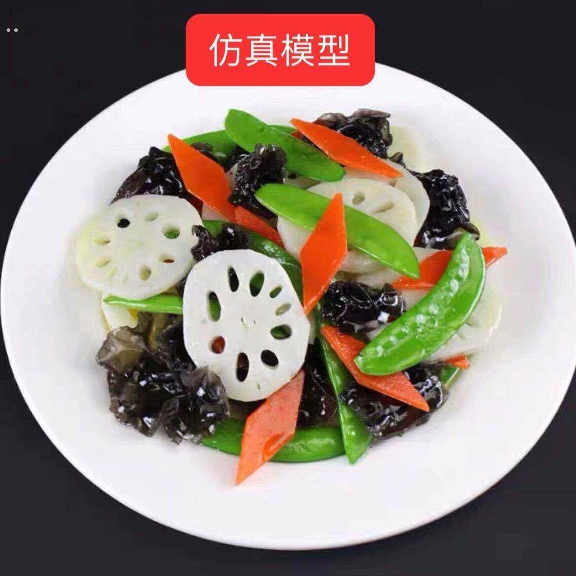 模型凉拌藕片复制一比一餐饮逼真仿真鲜艳明档影视道具