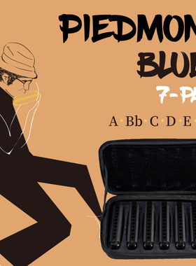 NAOMI 那迷 PIEDMONT  BLUES 布鲁斯口琴10孔C调 专业演奏级套装