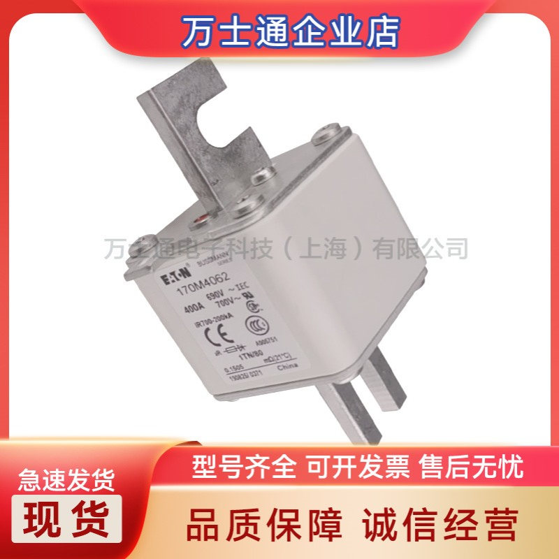170M4308 170M4309 170M4310 170M4311 170M4312 170M4313熔断器