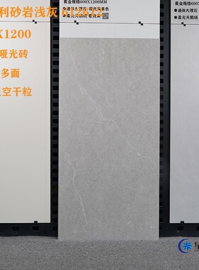 佛山通体哑光星空干粒质感砖600*1200厨房卫生间阳台地砖防滑耐磨