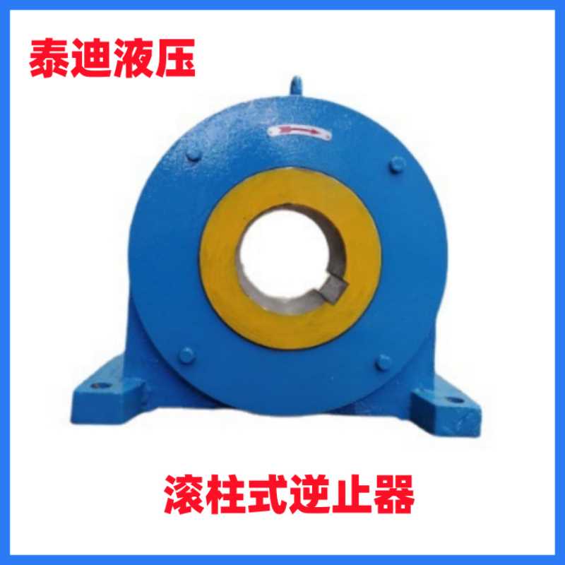 DTIIN1-8 DTIIN1-9滚柱式逆止器 配用泰隆 泰星减速机DCY200