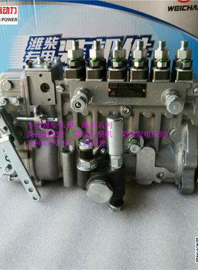 WP6发电机组柴油机工业动力用喷油泵13057958