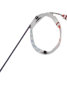 Thermo赛默飞 164940 Acclaim PepMap 100 C18 HPLC 色谱柱