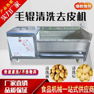 大型毛辊清洗机手剥笋春笋鲜毛笋洗姜机毛刷清洗机