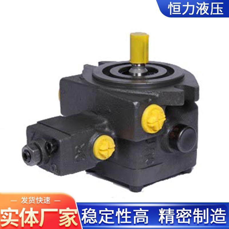 叶片泵VP-12FA3/20FA3/30FA3/40FA3单联双联变量泵液压油泵