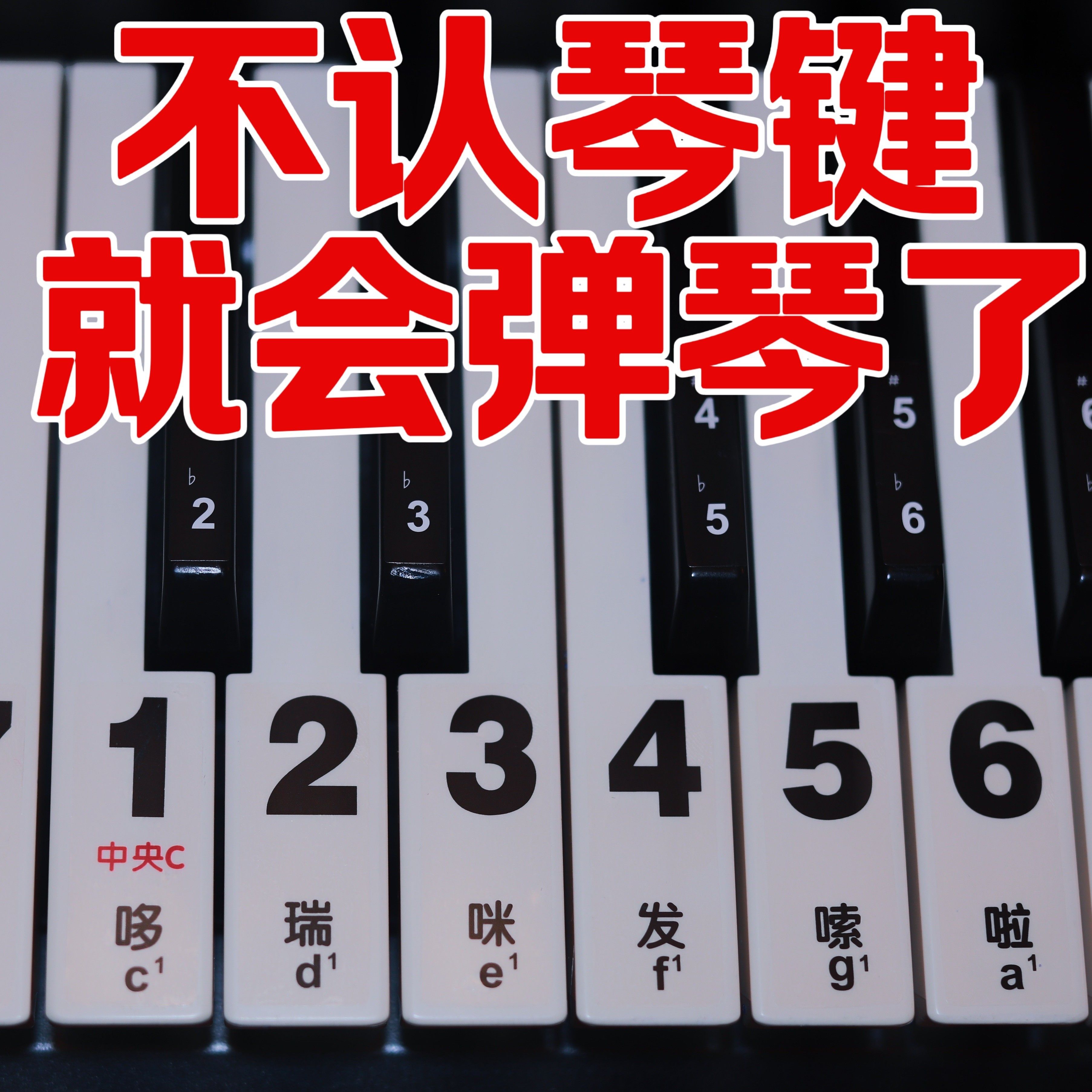 明键盘贴-6/52/54/61/88键电子琴钢琴琴键贴纸54透键36键大字3贴