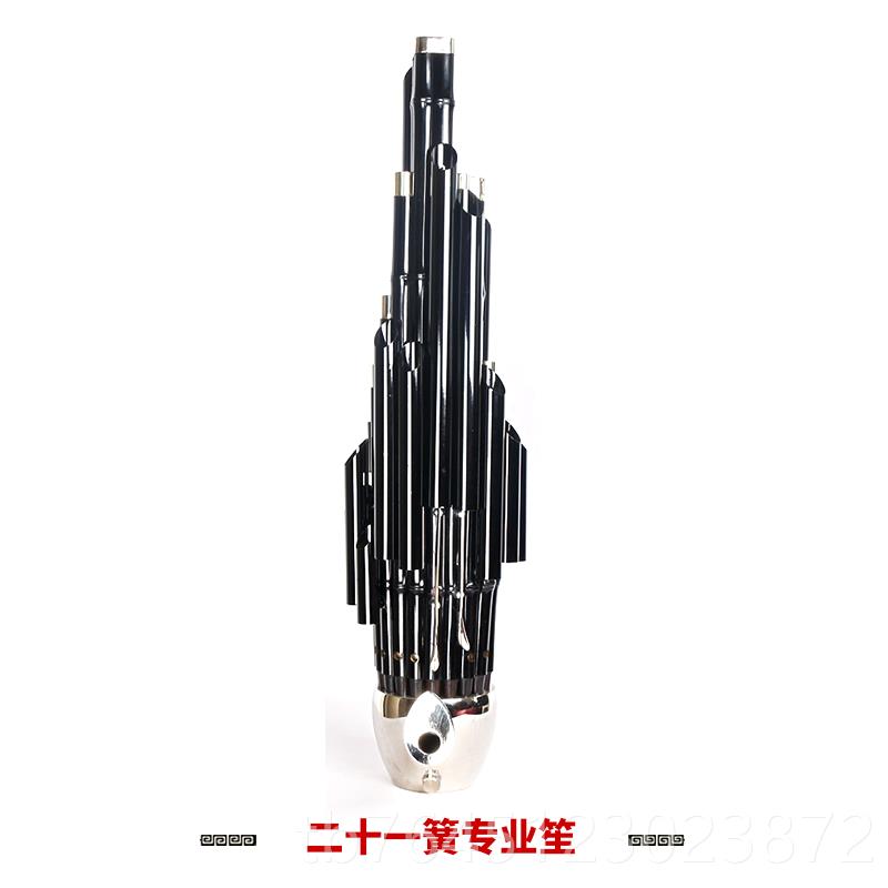 高档簧艺 精致器加键扩新音21笙乐大全圆笙修笙工竽乐器笙包初学图片