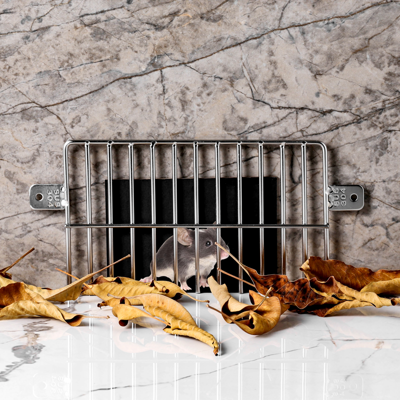 天台地漏篦子侧墙天沟水槽防堵过滤网下水道屋顶侧面阳台排落水口