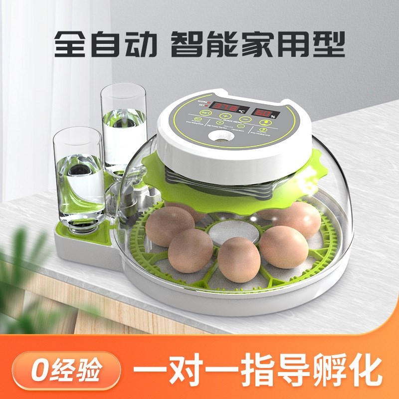 孵小鸡的机器家用芦丁鸡珍珠鸟鹌鹑鹦鹉鸽子小型孵蛋器儿童孵化
