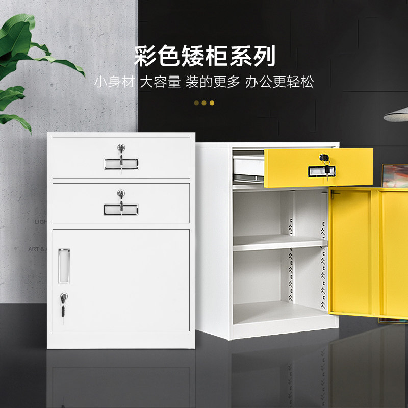 钢制矮柜办公文件柜铁皮柜玻璃门资料档案落地工具柜带锁储物柜子