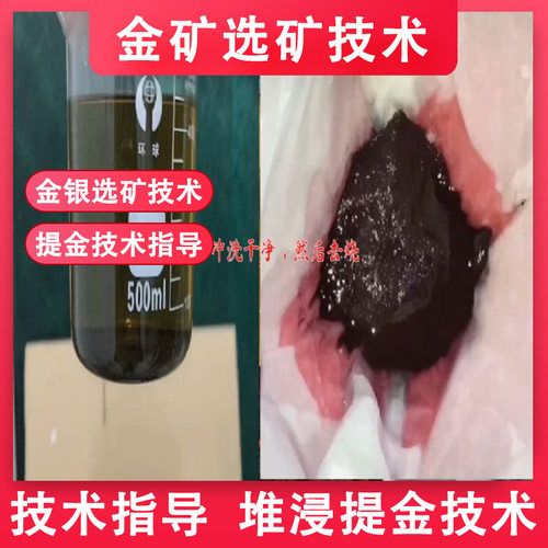 专业提金技术指导全面培训 打造专属学习路径 攻克提金技术难题