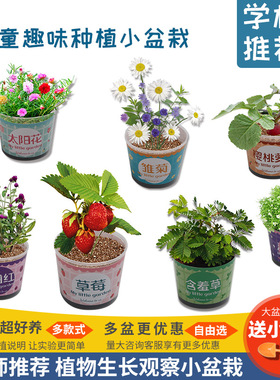 DIY自吸水植物盆栽科技小制作儿童科学实验玩具幼小学生手工种植