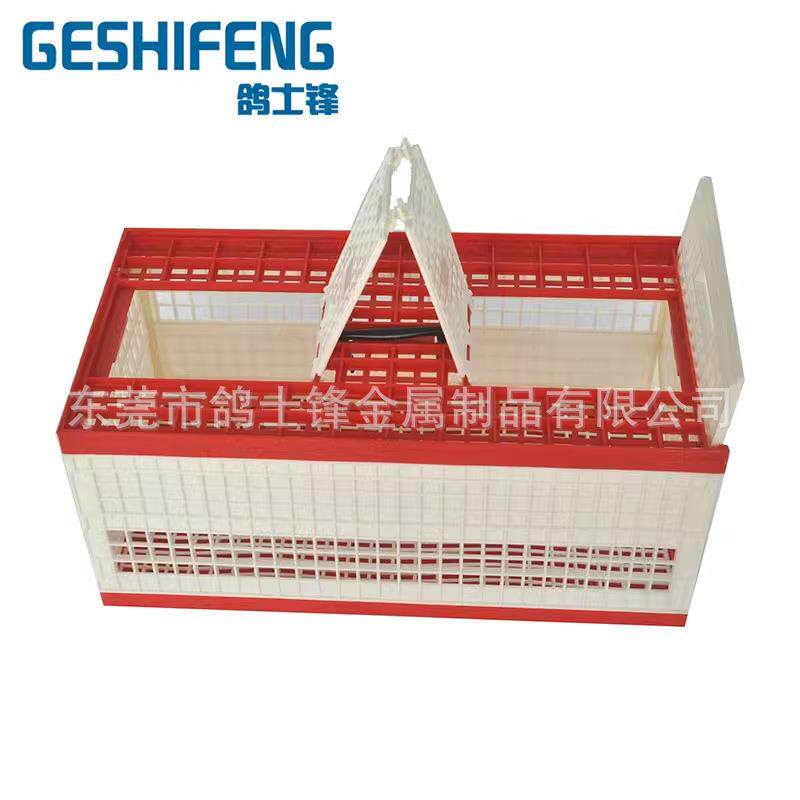 鸽子塑料放飞笼训放笼折叠式塑料运输笼鸽具用品赛鸽鸽笼