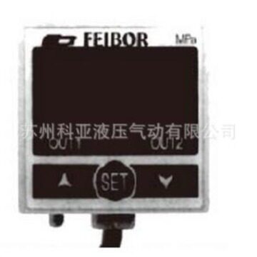 台湾FEIBOR压力开关B30C-F1-F1 B30V/30P-F1-F1