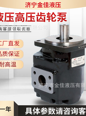 源头厂家直供JHP2液压泵起重机压路机工作泵耐高压 单泵