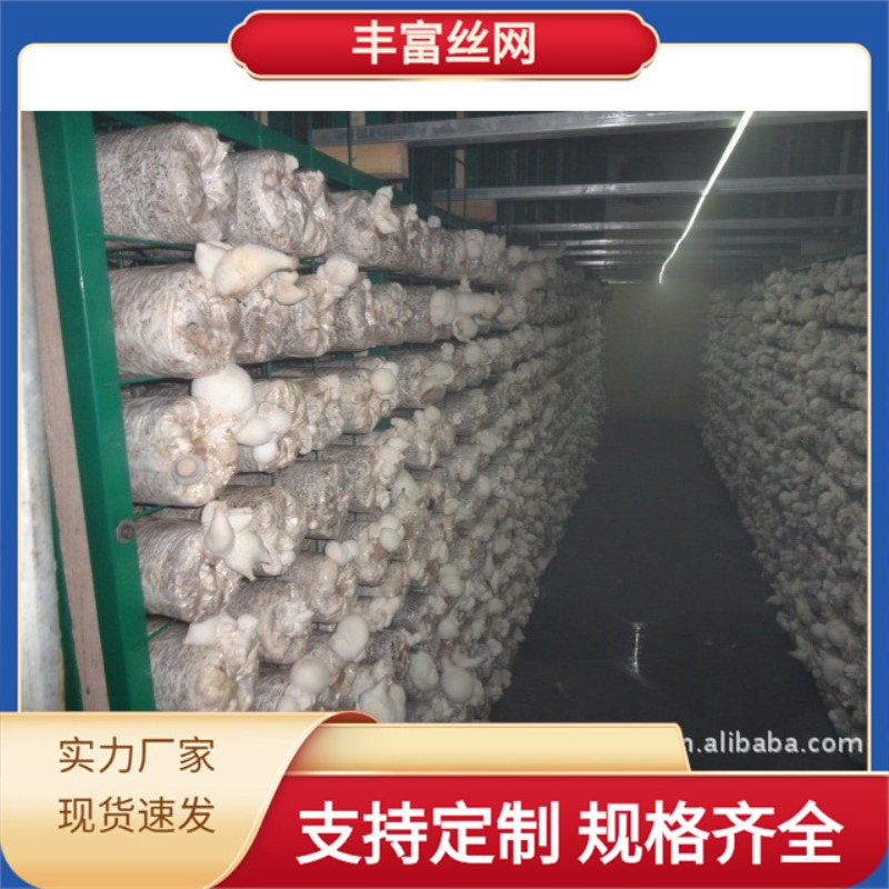 蘑菇养殖网架 平菇种植架大棚蘑菇架 出菇网片网格架