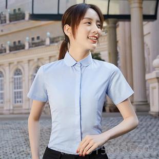 高档职业文艺工娃娃领打底衫修身衬衣正装工面试作衬服圆领长装袖