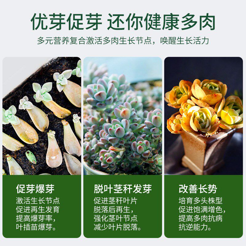 施可丰优芽素多肉专用营r养液免稀释直喷多头植物盆栽促生长爆芽